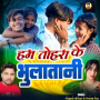 Hum Tohra Ke Bhulatani