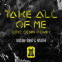 Take All Of Me (Eric Senn Remix)
