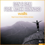 Walls (Shawn Mitiska Dub Mix)