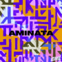 Aminata