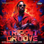 Trippin' Groove
