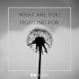What Are You Fighting For