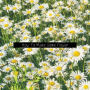 How To Make Some Flower