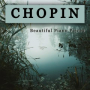 Mazurka No.1 in B flat major, Op.7: Frederic Chopin