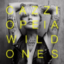 Wild Ones (Instrumental)