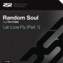 Let Love Fly (Random Soul Vocal)