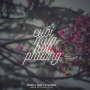 Cuối Mùa Hoa Phượng