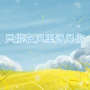 只能在风里遇见你