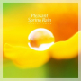 Pleasant Spring Rain