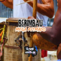 Berimbau Mega Ritmado
