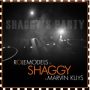 Shaggy's Party