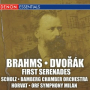 Serenade for Strings, Op. 22: V. Finale: Allegro Vivace
