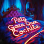PATY GOZA QUER COCHILA