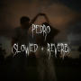 pedro (slowed + reverb)