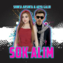 Sok Alim (Remix)