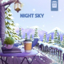 Night Sky