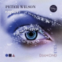 Diamond Eyes (Retroteque Radio Mix)