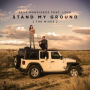 Stand My Ground (Niels Van Gogh & Rene Rodrigezz Vip Edit)