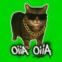 OIIA OIIA (Spinning Cat) (Trap Remix)