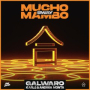 Mucho Mambo (Sway)