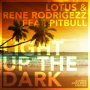 Light up the Dark (Trillogee Remix)