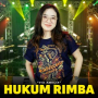 Hukum Rimba
