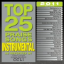 Jesus Messiah (Top 25 Praise Songs Instrumental 2011 Album Version)