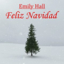 Feliz Navidad (Acoustic Cover)