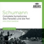 Schumann: Symphony No. 4 In D Minor, Op. 120 - Original Version (1841): 1. Andante con moto - Allegro di molto