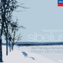 Sibelius: Symphony No. 1 in E minor, Op. 39: 1. Andante, ma non troppo - Allegro energico