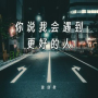 你说我会遇到更好的人
