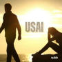usai