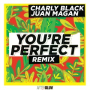 You're Perfect (Remix)