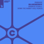 Blueberry (Markus Schulz Down The Rabbit Hole Remix)