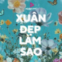 Cánh Thiệp Đầu Xuân