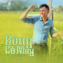 Bông Cỏ May