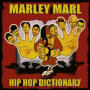 Hip Hop Dictionary Introduction