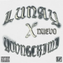 Nuevo