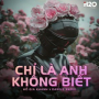 Chỉ Là Anh Không Biết (Danius Remix)