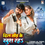 Dil Tod Ke Khush Raha