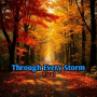 Through Every Storm