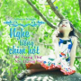 Nghe Tiếng Chim Hót