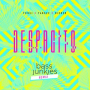 Despacito (Bass Junkies Remix)