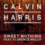 Sweet Nothing (Album Version)
